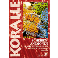 Scheibenanemonen im Meerwasseraquarium