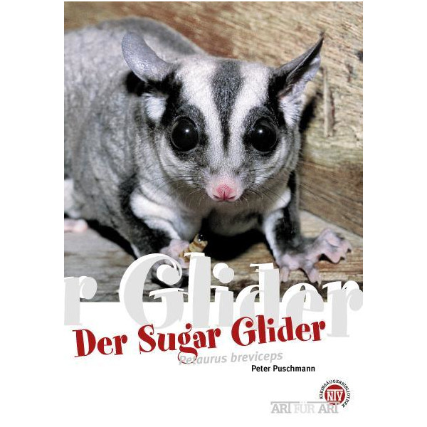 Der Sugar Glider