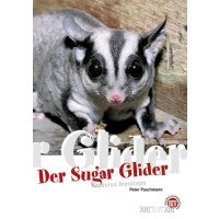 Der Sugar Glider
