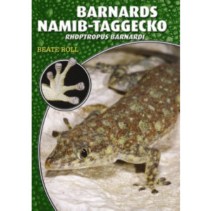 Barnards Namib-Taggecko