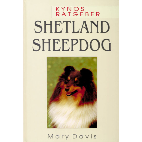 Shetland Sheepdog