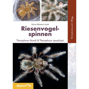 Riesenvogelspinnen