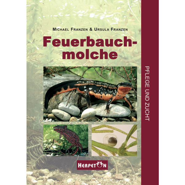 Feuerbauchmolche