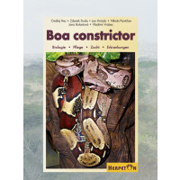 Boa constrictor