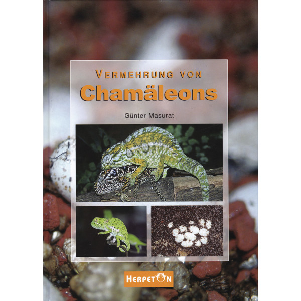 Vermehrung von Chamäleons