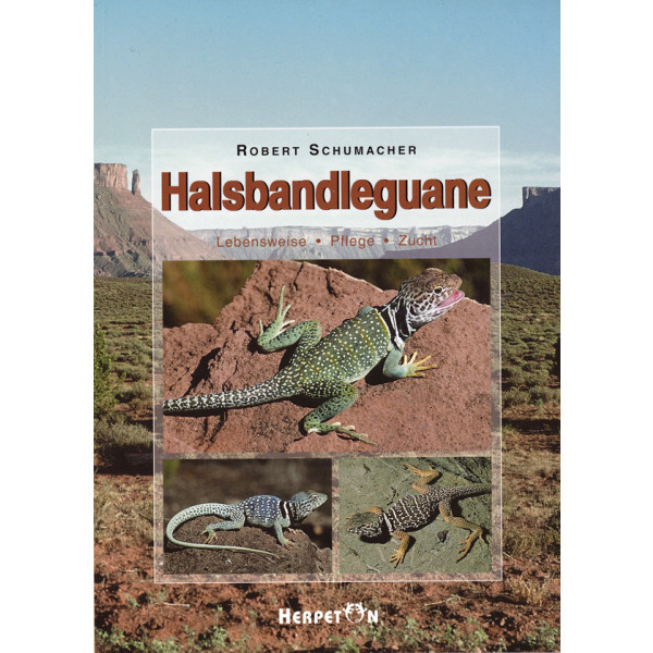 Halsbandleguane