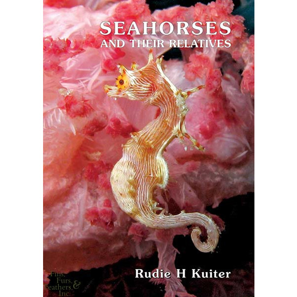 Seahorses And Their Relatives