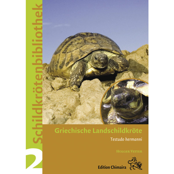 Griechische Landschildkröte Schildkrötenbibliothek 2
