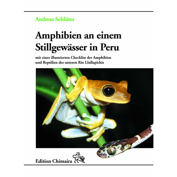 Amphibien an einem Stillgewässer in Peru