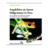 Amphibien an einem Stillgewässer in Peru