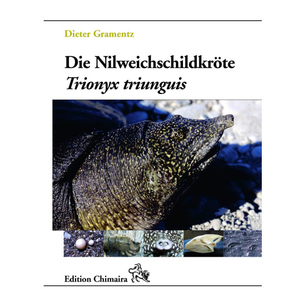 Die Nilweichschildkröte