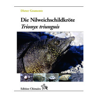 Die Nilweichschildkröte
