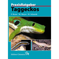 Taggeckos