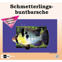 Schmetterlingsbuntbarsche