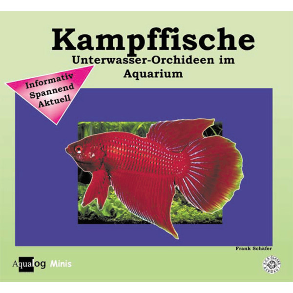 Kampffische