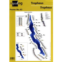 AQUALOG Faltposter "Tropheus"
