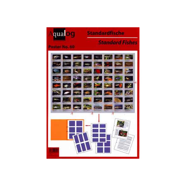 AQUALOG Fold-up Poster "Standard Fishes"