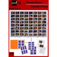 AQUALOG Fold-up Poster "Standard Fishes"