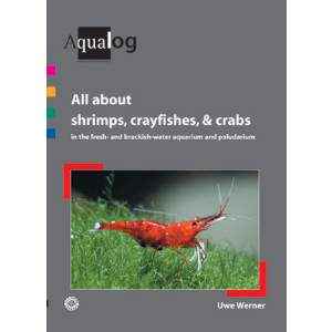All about Shrimps, Crayfishes and Crabs