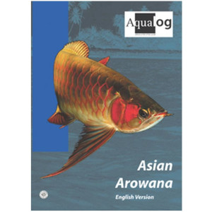 Asian Arowana (English Version)