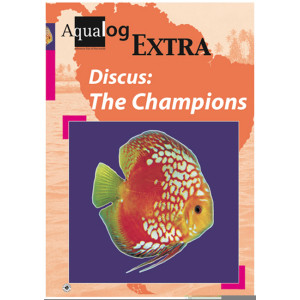 Discus: The Champions