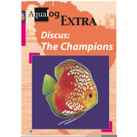 Discus: The Champions