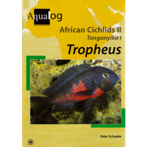 African Cichlids II  Tanganyika 1  "TROPHEUS"