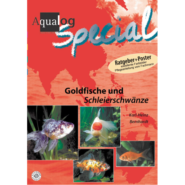Goldfische & Schleierschwänze