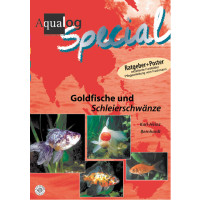Goldfische & Schleierschwänze