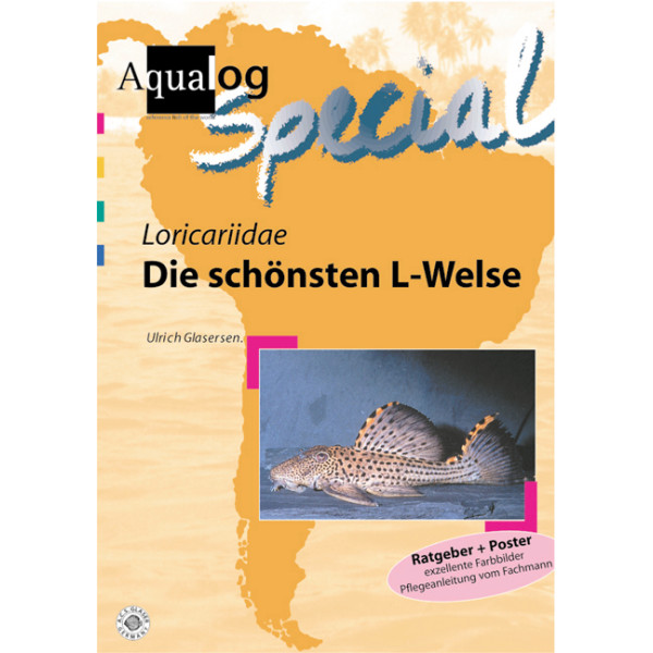 Loricariidae Die Sch nsten L Welse 9 90