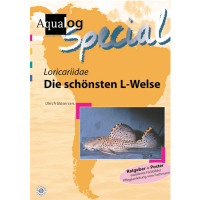 Loricariidae "Die Schönsten L-Welse"