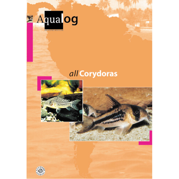 All Corydoras