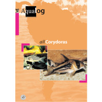 All Corydoras