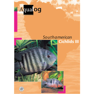 South American Cichlids III