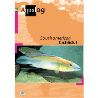 South American Cichlids I