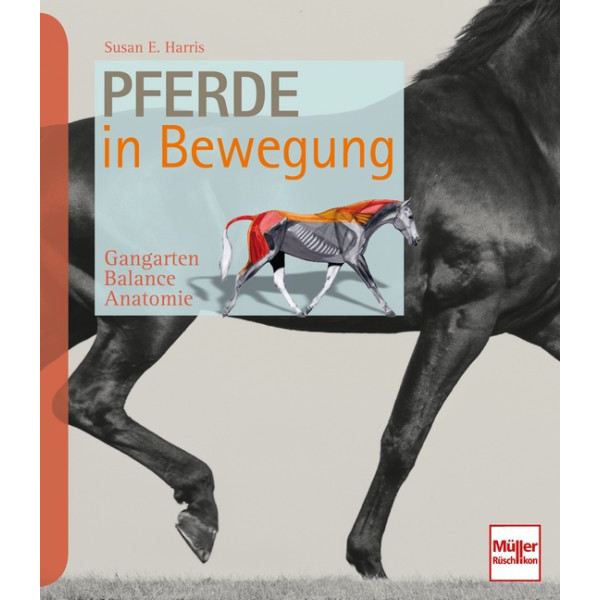 Pferde in Bewegung - Gangarten - Balance - Anatomie