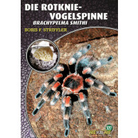 Die Rotknie Vogelspinne