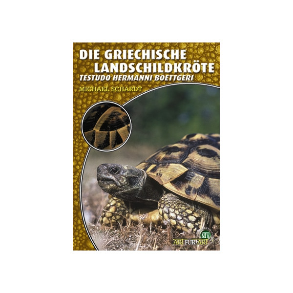 Die Griechische Landschildkröte