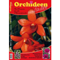 Orchideen Zauber 2 (März/April 2016)