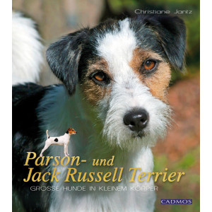 Parson- und Jack Russell Terrier