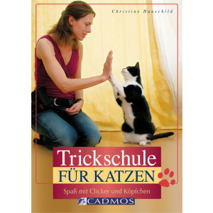 Trickschule für Katzen