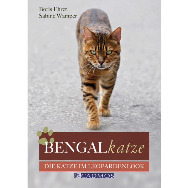 Bengalkatze
