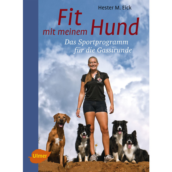 Fit mit meinem Hund box