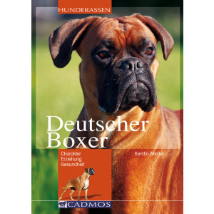 Deutscher Boxer