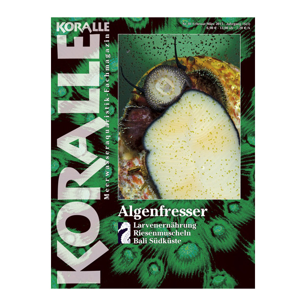 KORALLE 91 -  Algenfresser (Februar / M& box