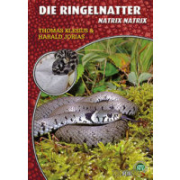 Die Ringelnatter