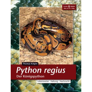 Python Regius - Der Königspython