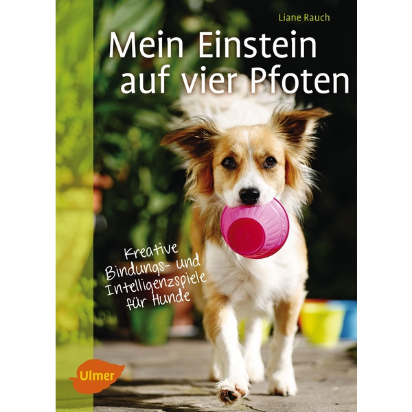Mein Einstein auf vier Pfoten