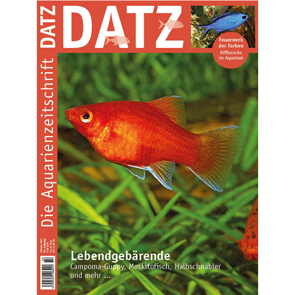 DATZ 2015 - 02 (Februar) box