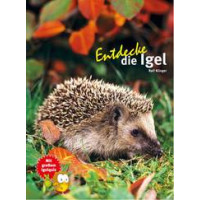 Entdecke die Igel